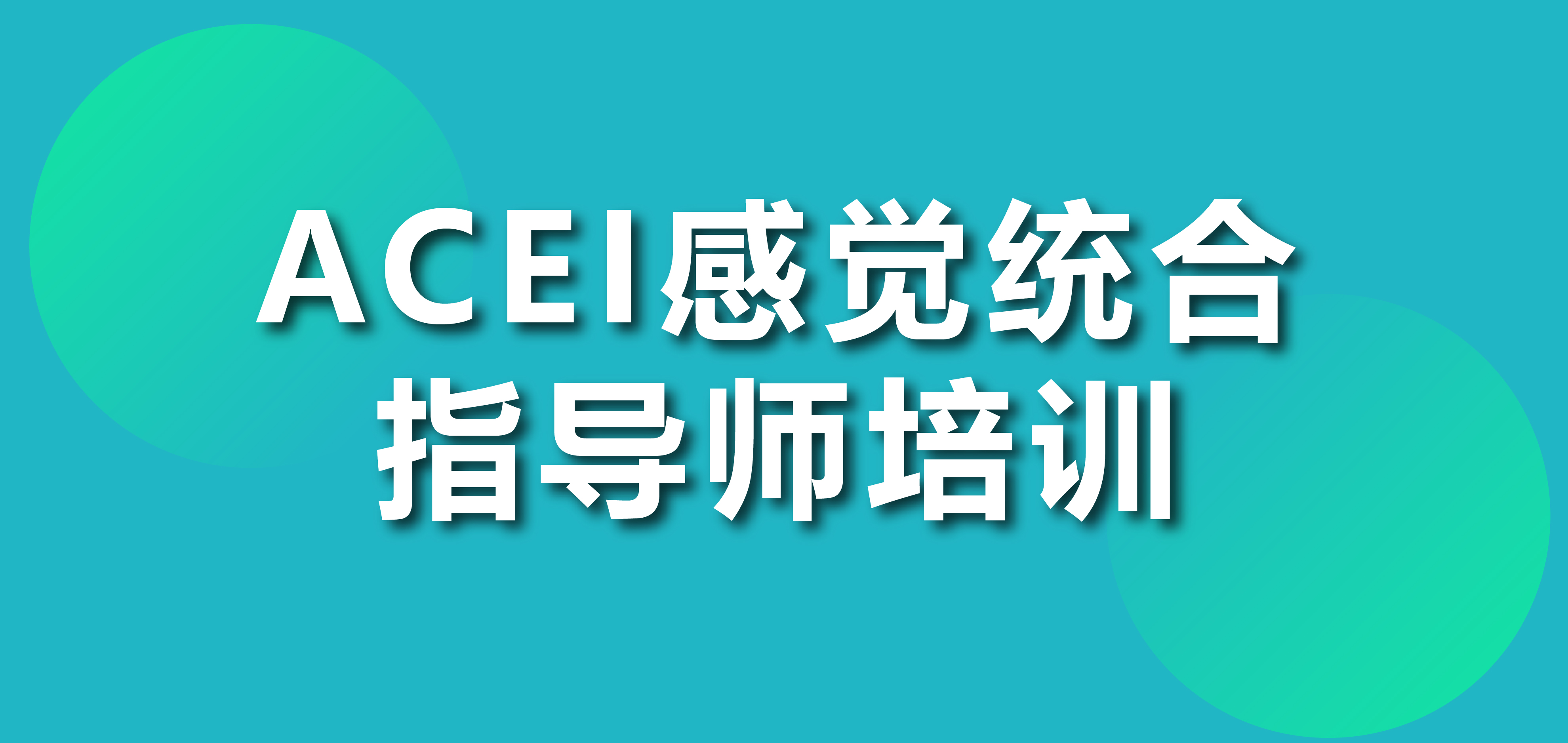 27 ACEI初级感觉统合指导师培训