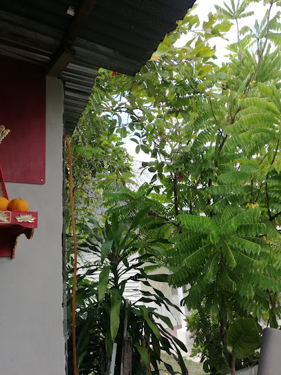 Joyden wong house