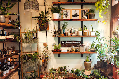Green Plant Society