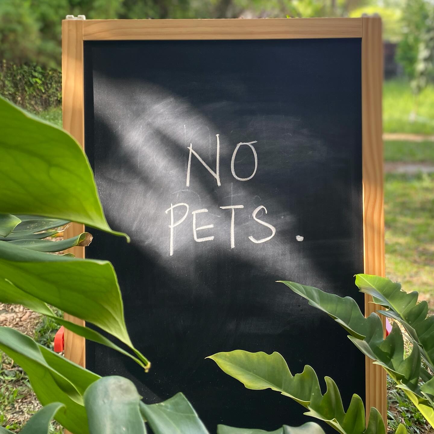 No Pets